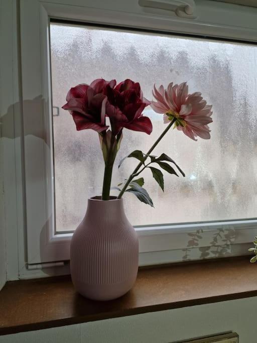 Grosszuegige Ferienwohnung 4+1 P. Buettelborn Екстер'єр фото