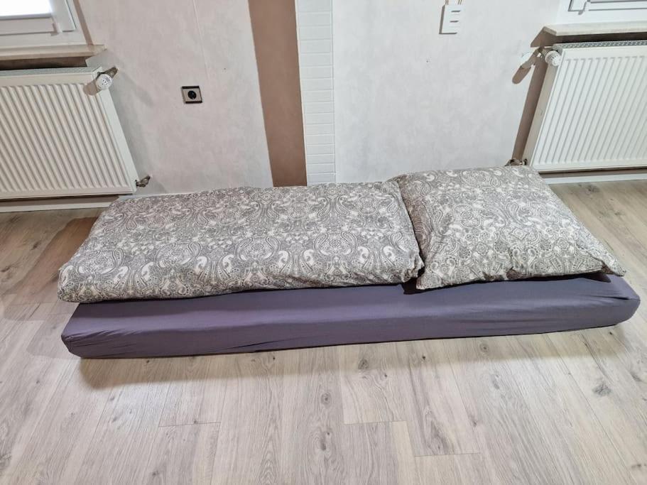 Grosszuegige Ferienwohnung 4+1 P. Buettelborn Екстер'єр фото
